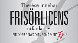 Öppnas i nytt fönster.